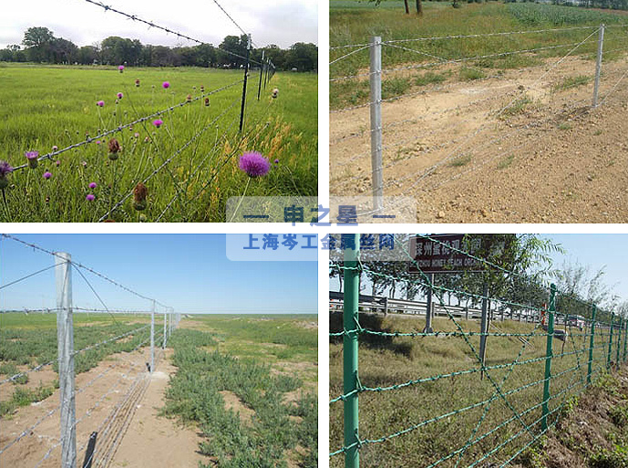 刺绳防护网
